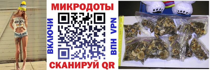 Псилоцибиновые грибы мицелий  как найти наркотики  Кострома 