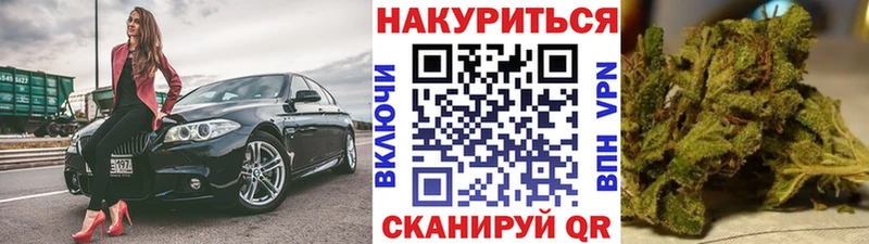 Каннабис конопля Кострома