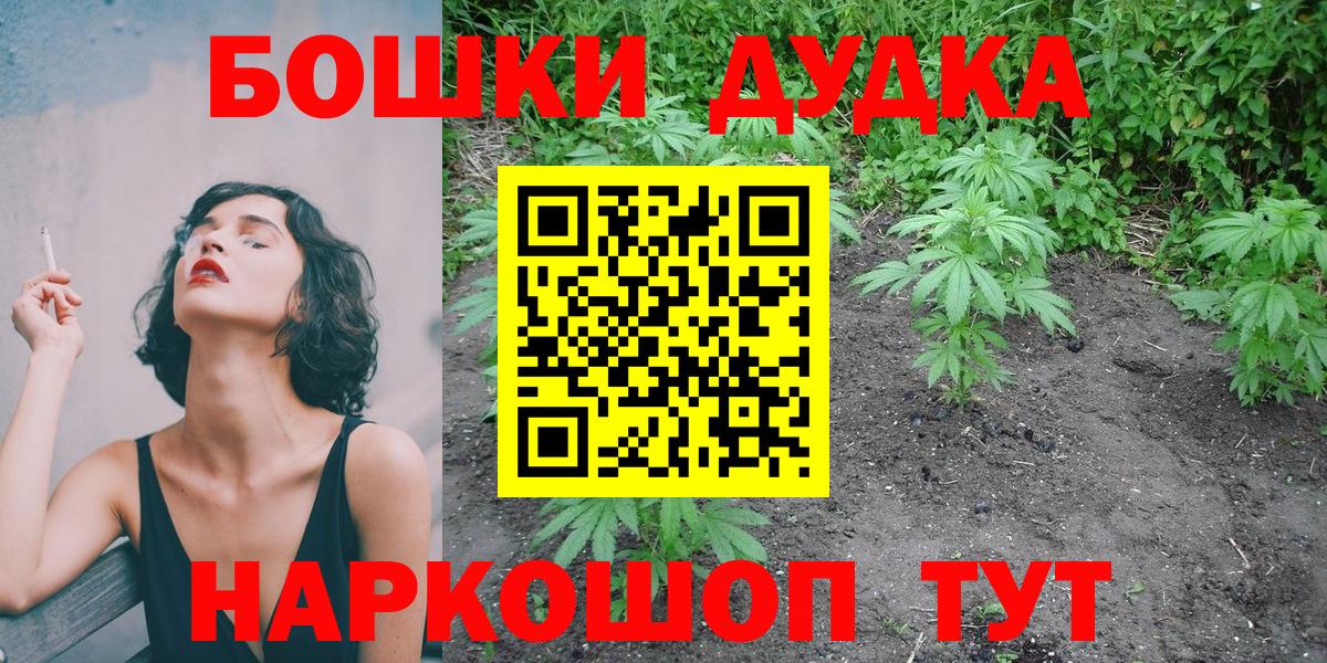  COCAIN Кострома